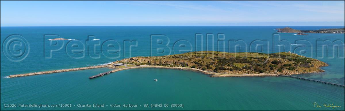 Peter Bellingham Photography Granite Island - Victor Harbour - SA (PBH3 00 30900)